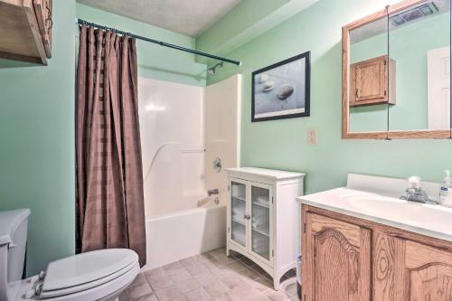 uma casa de banho com um WC, um lavatório e um chuveiro em Mills River Hideaway with Front Porch and Mtn Views! em Mills River