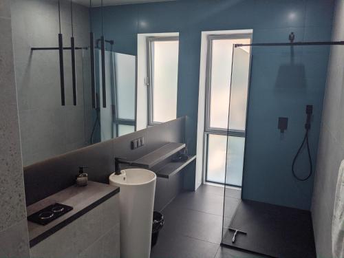 W łazience znajduje się toaleta, umywalka i prysznic. w obiekcie Śledź Gdynia - YACHT PARK w mieście Gdynia