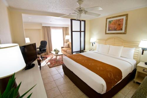 Afbeelding uit fotogalerij van Comfort Suites Paradise Island in Nassau