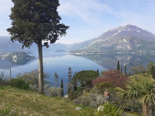 a view of a lake with a mountain in the background at Vezio Hill House in Perledo