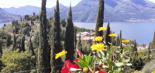 a bunch of flowers in front of a lake at Vezio Hill House in Perledo