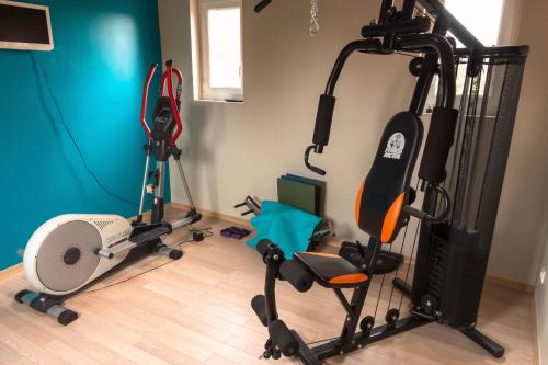 Fitness centrum a/nebo fitness zařízení v ubytování Au repos de la licorne
