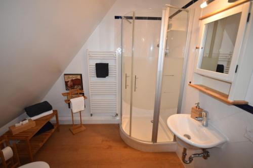 a bathroom with a shower and a sink at Hoheluft am Wittensee Apt 3 in Groß Wittensee