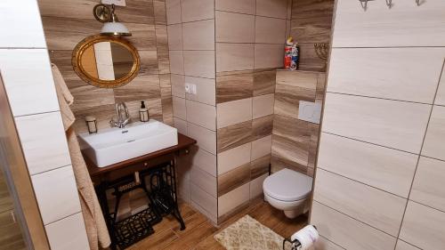 a bathroom with a sink and a toilet at Chaloupka Rozkoš in Nové Město nad Metují
