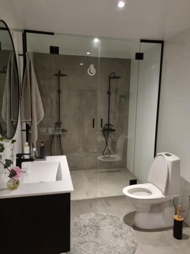 a bathroom with a shower and a toilet and a sink at Villa Grötvik in Halmstad