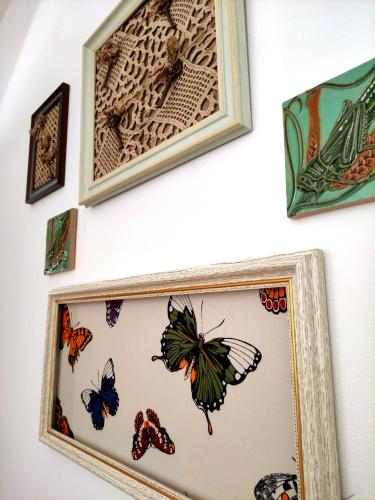 a group of butterflies hanging on a wall at D'Oliva Gerês - River Side Houses in Geres