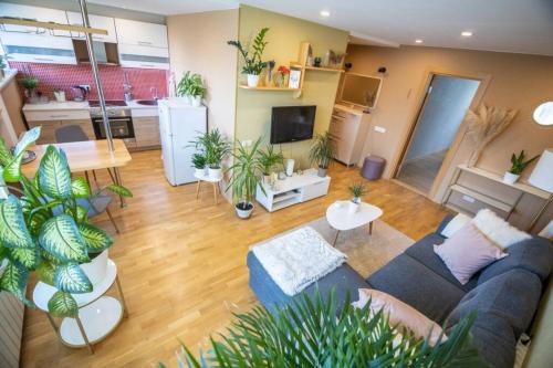 Beautiful & spacious apartment in Valmiera في فالميرا: غرفة معيشة مع أريكة والنباتات الفخارية