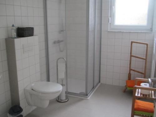 a bathroom with a shower and a toilet in it at Barons Ferienappartement C in Dargun