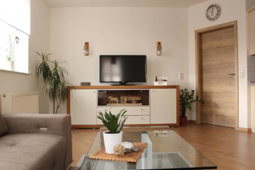 a living room with a couch and a tv at Ferienwohnung "Zum Schloßkeller" in Wolkenstein