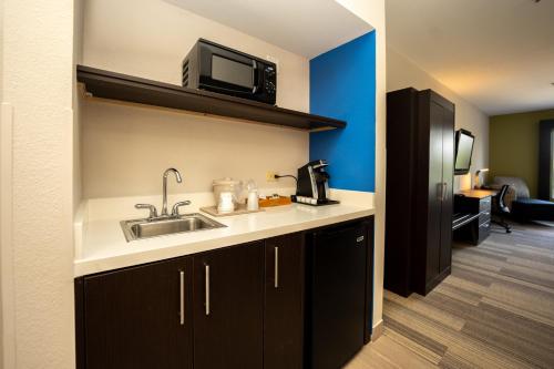 A kitchen or kitchenette at Holiday Inn Express & Suites Deer Park, an IHG Hotel