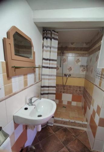 a bathroom with a sink and a shower at Cafe Nostalgie dvoulůžkový romantický pokoj in Krásná Lípa