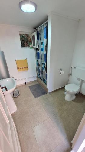 a bathroom with a toilet and a sink at Cabana Râul Lung in Caransebeş