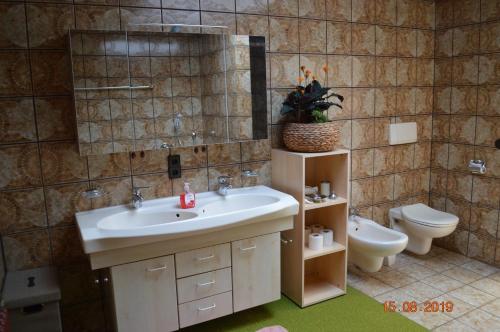 a bathroom with a sink and a toilet at Naturparadies & Abenteuer schwäbische Alb in Großbettlingen