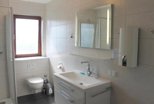 a bathroom with a sink and a toilet and a mirror at Ferienwohnung Baumert in Grömitz