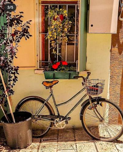 a bike parked in front of a window with flowers at SAMA Tarshiha in Ma'alot Tarshiha