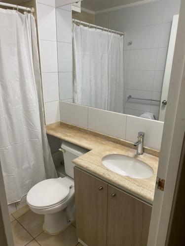 La salle de bains est pourvue de toilettes, d'un lavabo et d'un miroir. dans l'établissement Departamento - Place - king Home - Factura - Central - Empresas, à Chillán