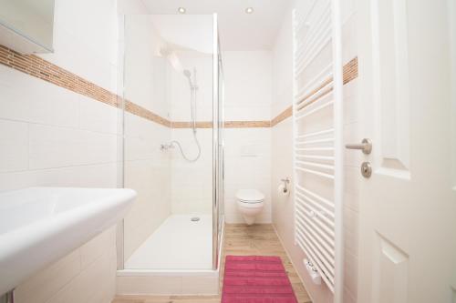 a white bathroom with a shower and a toilet at Schleiblick App 11 in Rabenkirchen-Faulück