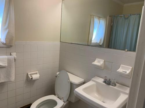 a bathroom with a toilet and a sink and a mirror at Nitey Nite Motel in South Windsor