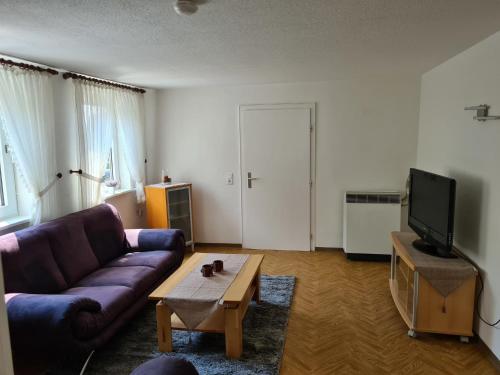 ein Wohnzimmer mit einem Sofa und einem Couchtisch in der Unterkunft Haus Lauterberg 1 - Das Urlaubsdomizil im Harz in Bad Lauterberg