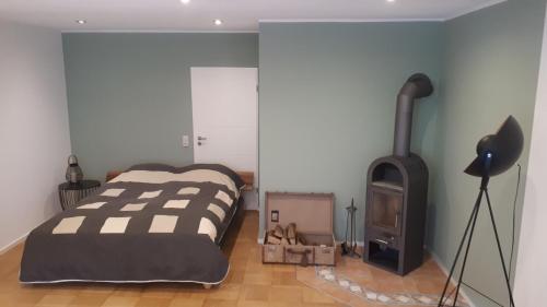 ein Schlafzimmer mit einem Bett und einem Kamin in der Unterkunft Studio Summer Garden in Trassem