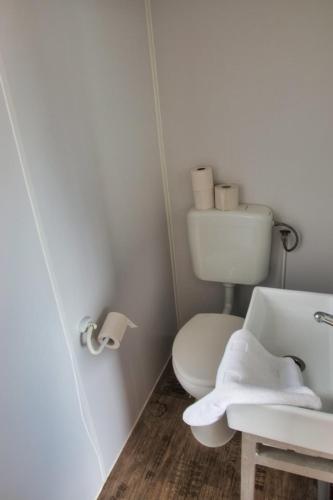 uma casa de banho branca com um WC e um lavatório em Finnenhaus 3 em Lübeck