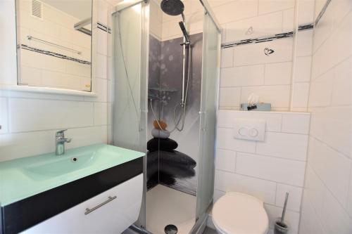 ダーメにあるSonnenschein Whg11のバスルーム(シャワー、トイレ、シンク付)