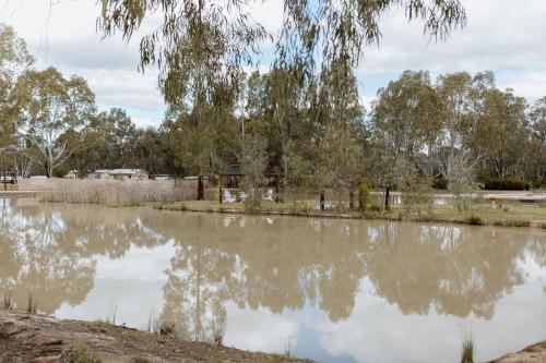 a pond in a park with trees in the background at Tindarra Resort in Moama