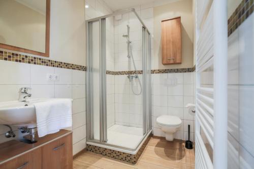 a bathroom with a shower and a toilet and a sink at Ferienhof Büdlfarm - Treckerschuppen in Sahrensdorf