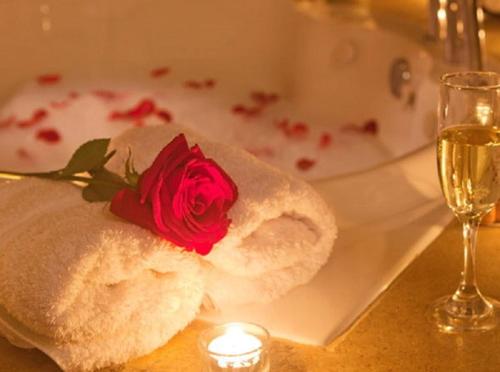 a red rose on a white plate with a glass of wine at Chácara Cantinho que Deus me Deu in Sao Paulo