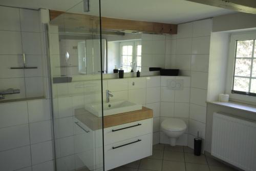 a bathroom with a sink and a toilet at Hus Boompecker in Achtrup