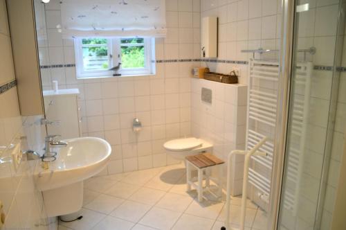 uma casa de banho com um WC, um lavatório e um chuveiro em Am Maisfeld Ferienhaus em Wyk auf Föhr