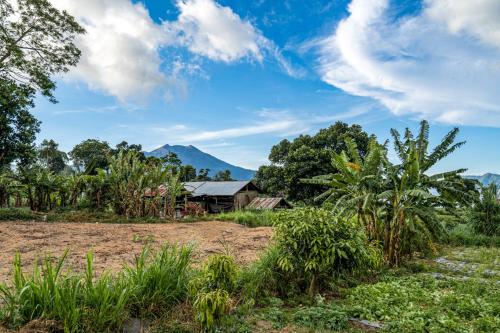 a house in a field with a mountain in the background at Pondok Manoka in Kintamani