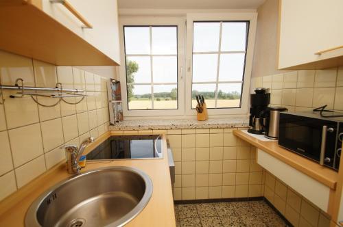 a kitchen with a sink and two windows at Flieder in Dahme