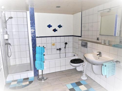 a bathroom with a shower and a sink and a toilet at Öko-Ferienwohnung im Landhaus Hübner in Neukirchen