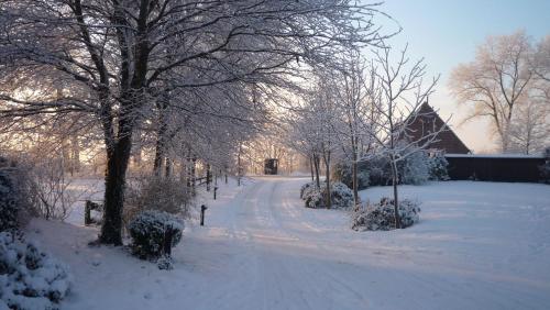 een met sneeuw bedekte weg met bomen en een gebouw bij Inselhof Steengrafe - Strandblick in Schwanewede