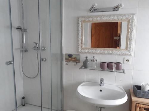 uma casa de banho com um lavatório, um chuveiro e um espelho. em Tina em Graal-Müritz