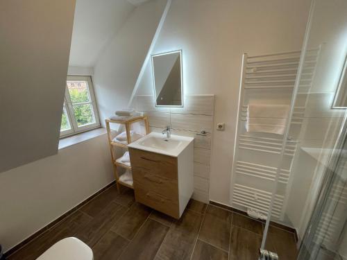 クヴェードリンブルクにあるApartment mit Balkon No2のバスルーム(シンク、シャワー、鏡付)