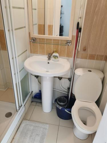 a small bathroom with a toilet and a sink at Nicosia rooms Studios in Nicosia