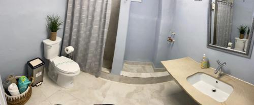 a bathroom with a sink and a toilet and a shower at Large 9 bedroom home San Juan Puerto Rico in San Juan