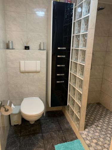 a bathroom with a toilet and a shower at Apartament Słoneczny in Międzyzdroje