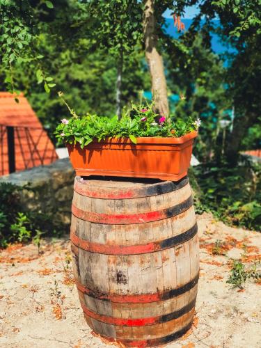 a barrel with a planter on top of it at Къщички Синьо лято, Черноморец - Варна - Blue Summer Houses Varna in Varna City
