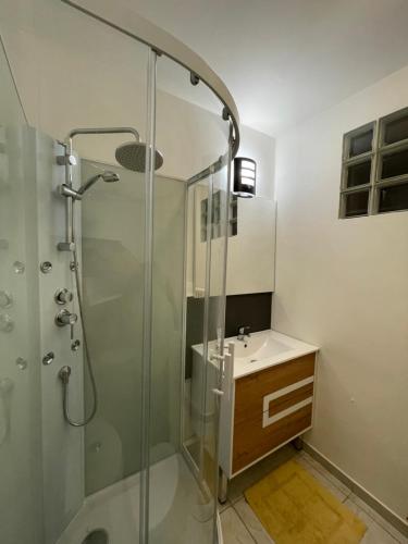 a bathroom with a shower and a sink at F1 Terrasse LED, Colmar à 5min, calme in Wintzenheim