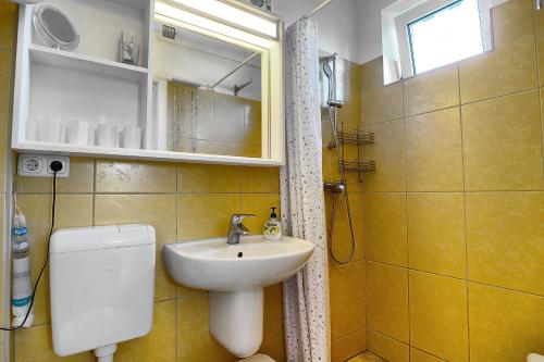een badkamer met een wastafel, een toilet en een spiegel bij Alte Schmiede - 21847 in Zingst