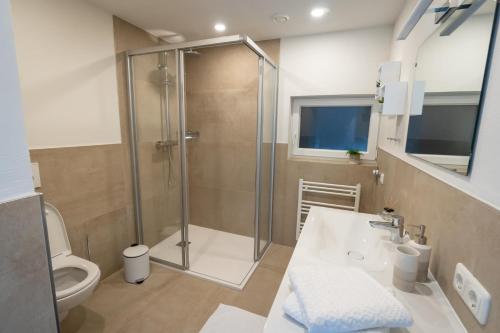 bagno con doccia, lavandino e servizi igienici di Dorfapartment Achensee a Maurach