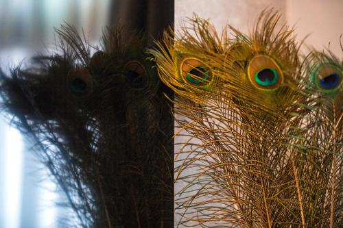 a vase with peacock feathers next to a pole at Cavallaro Hotel in Haarlem