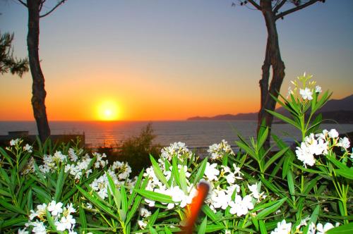 appartamenti sea view