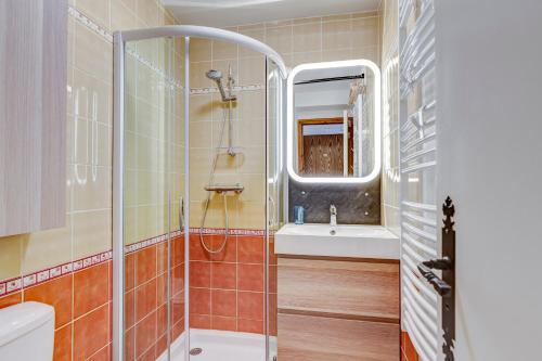 a bathroom with a shower and a sink at Studio Cornaline - Studio aux pieds des pistes in Crest-Voland