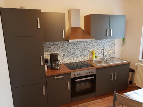a kitchen with gray cabinets and a sink at Waldblick - a48825 in Lauscha - Ernsthal am Rennsteig