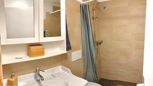 a bathroom with a sink and a shower at Le Gîte du Midi in Fontainemelon