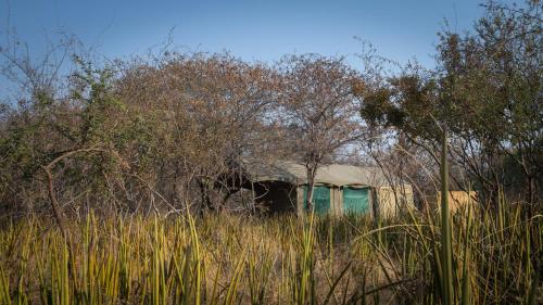 Fotografie z fotogalerie ubytování Boteti Tented Safari Lodge v destinaci Maun